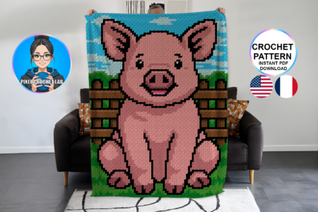 Cochon - patron de couverture C2C au crochet