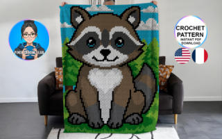 Raton laveur - patron de couverture C2C au crochet