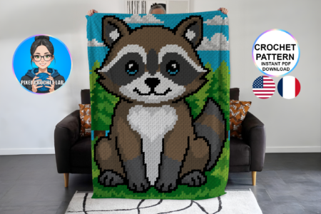 Raton laveur - patron de couverture C2C au crochet