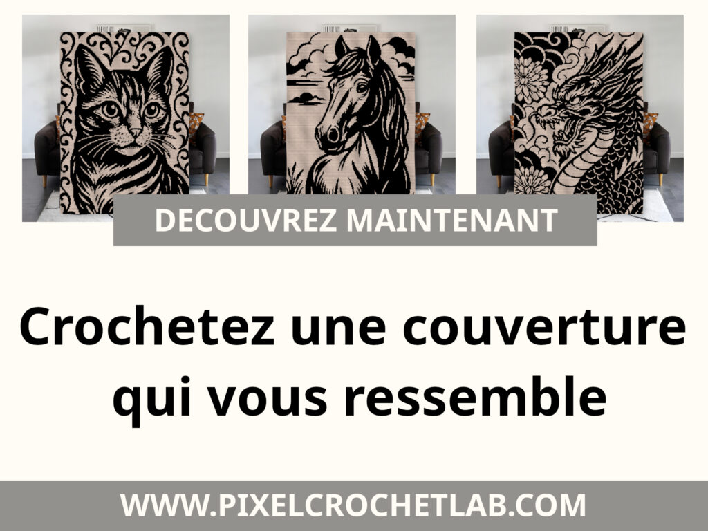 Patron au Crochet en Pixel Art : Modèles C2C et tapestry crochet